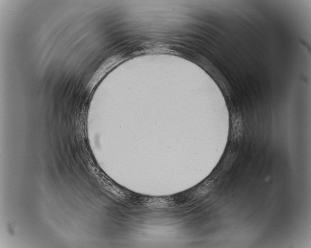 X0000103941002200810311521