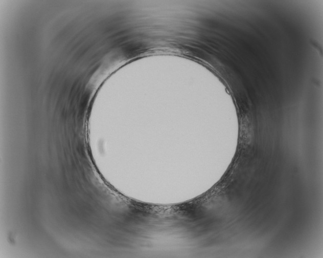 X0000103941003200810311521