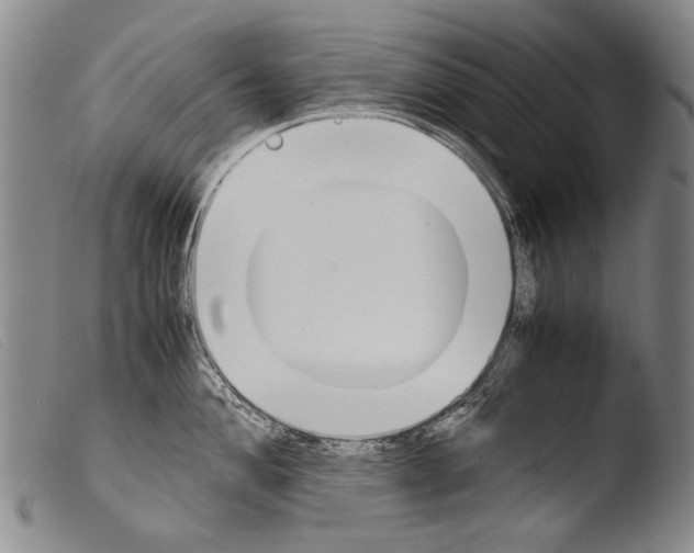 X0000103941004200810311521