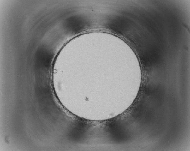 X0000103941005200810311521