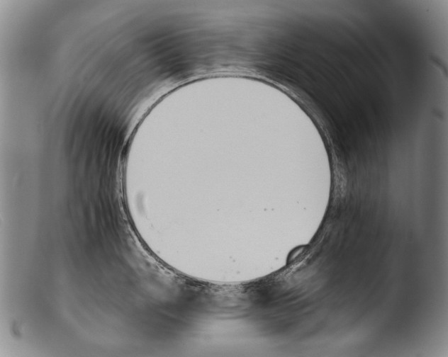 X0000103941006200810311521