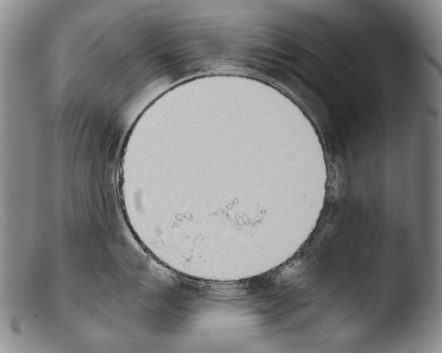 X0000103941007200810311521