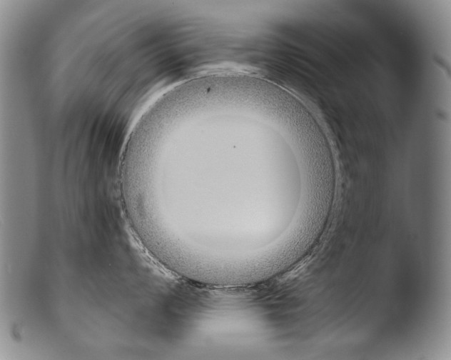 X0000103941008200810311521