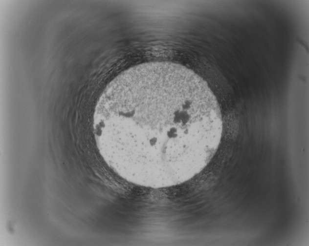 X0000103941009200810311520