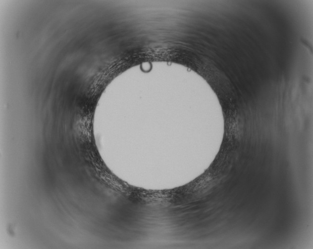 X0000103941010200810311520