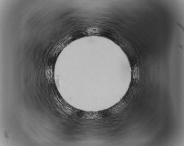 X0000103941011200810311520