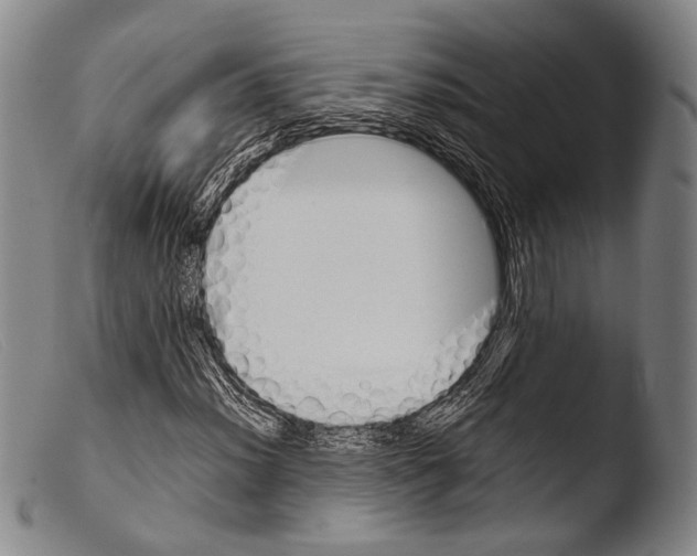 X0000103941012200810311520