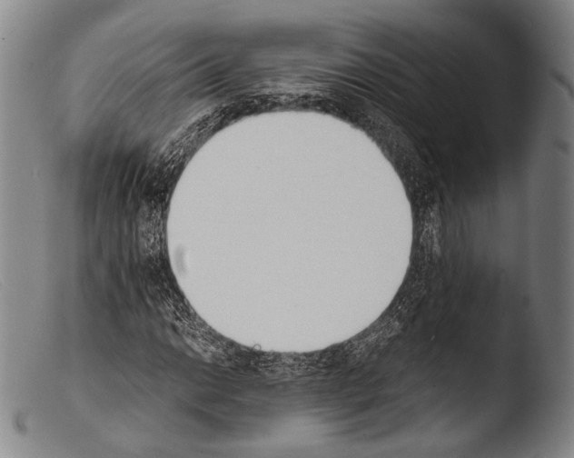 X0000103941014200810311520