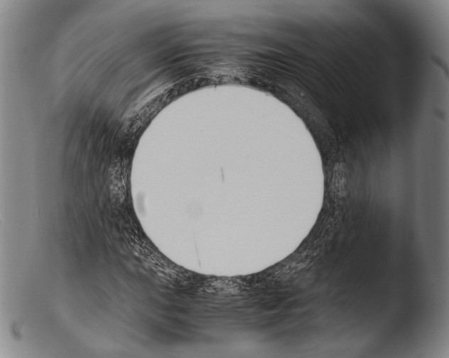 X0000103941015200810311520