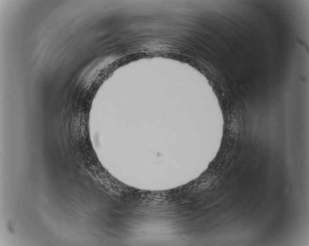 X0000103941016200810311521