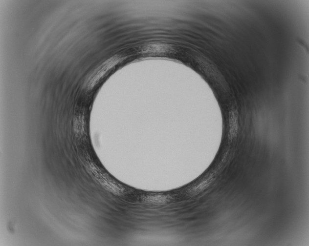 X0000103941017200810311521