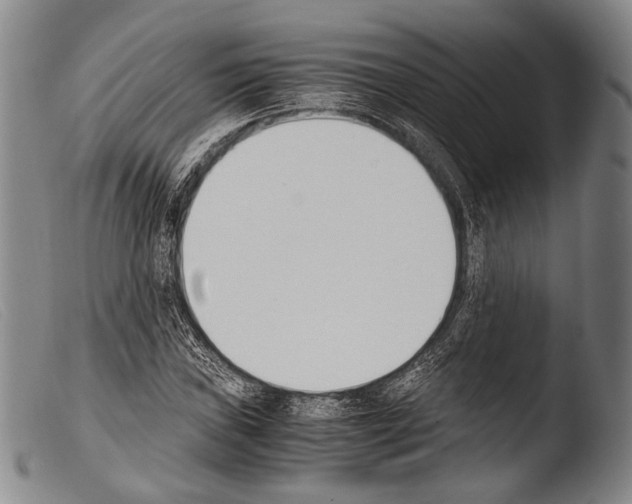 X0000103941019200810311521