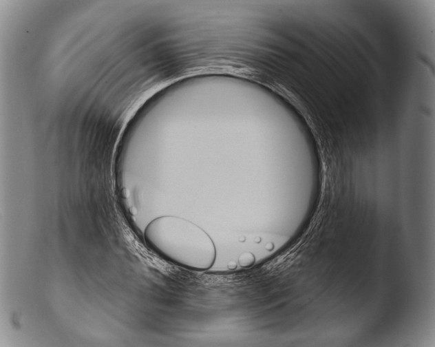 X0000103941020200810311521