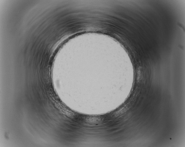 X0000103941021200810311521