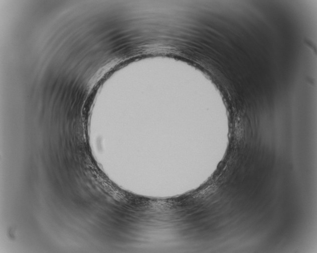 X0000103941022200810311521