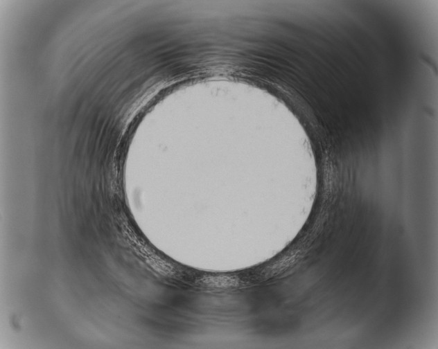 X0000103941023200810311521