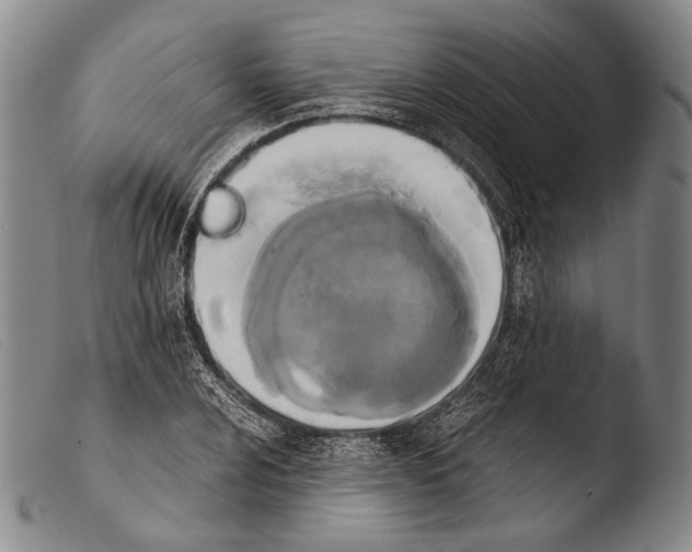 X0000103941024200810311521