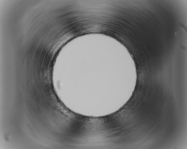 X0000103941026200810311521