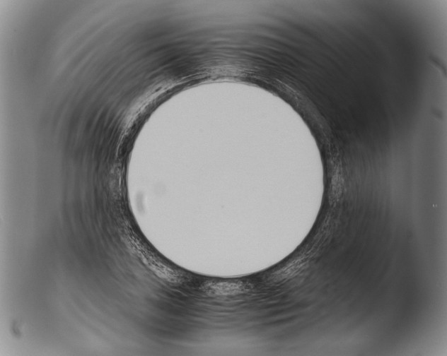 X0000103941027200810311521