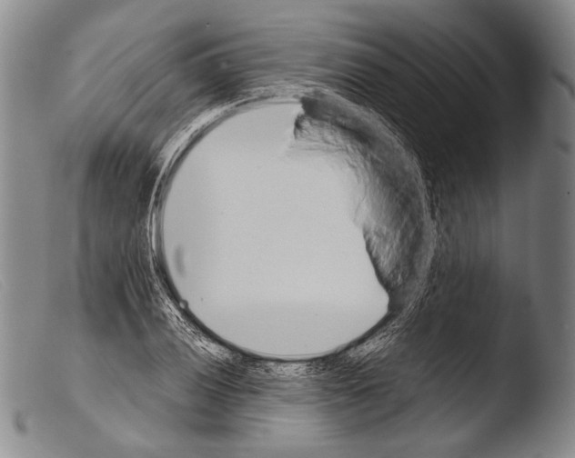 X0000103941028200810311521