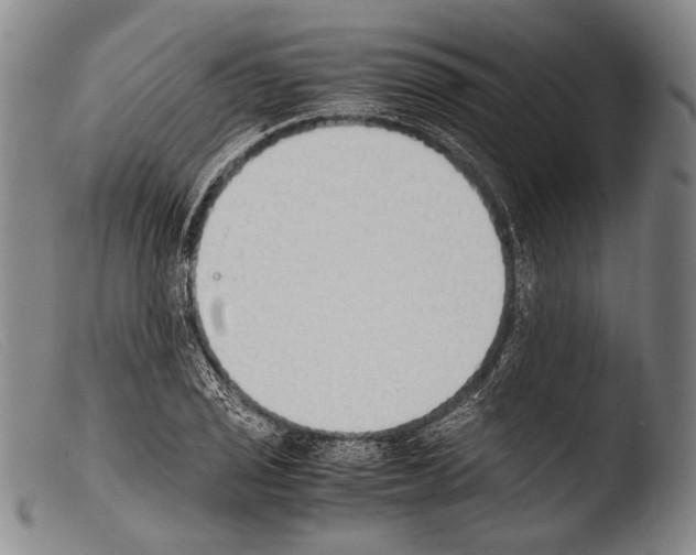 X0000103941029200810311521