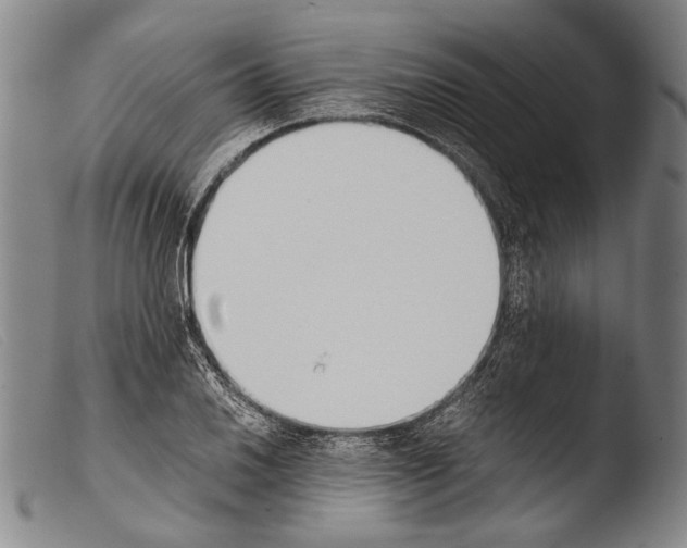 X0000103941030200810311521