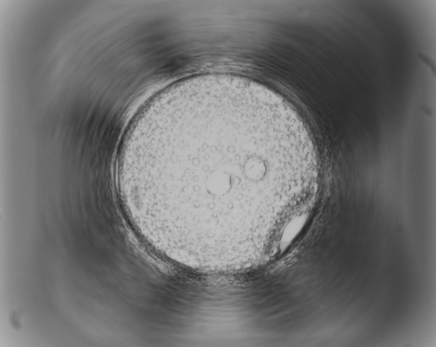 X0000103941032200810311521