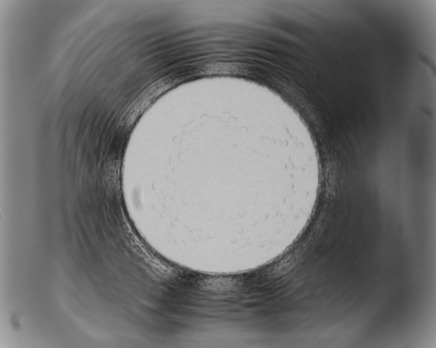 X0000103941033200810311521