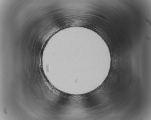 X0000103941034200810311521