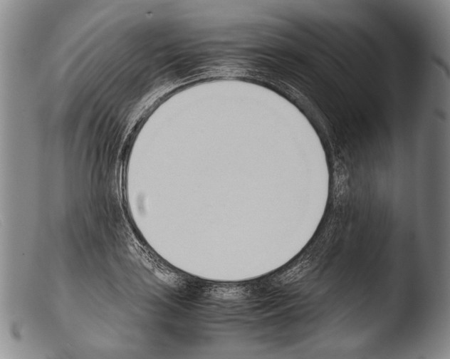 X0000103941035200810311521