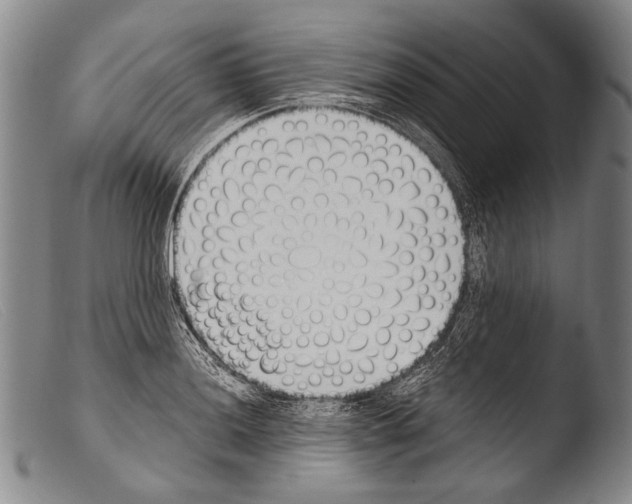 X0000103941036200810311521