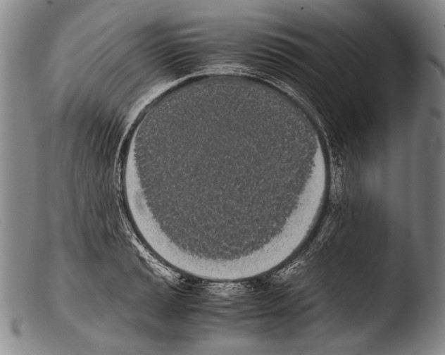 X0000103941037200810311521