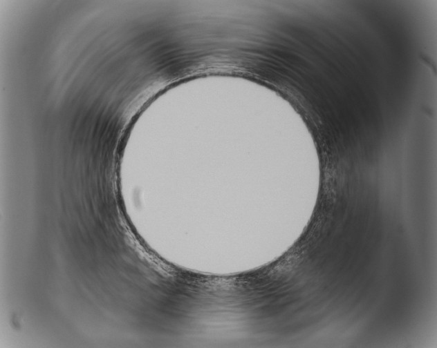 X0000103941038200810311521