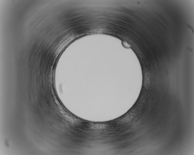 X0000103941039200810311521