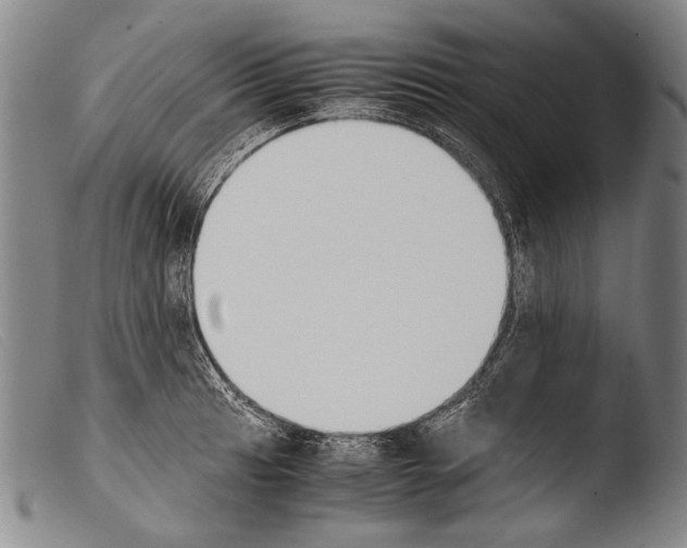 X0000103941041200810311521