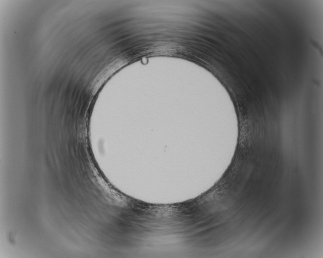 X0000103941042200810311521