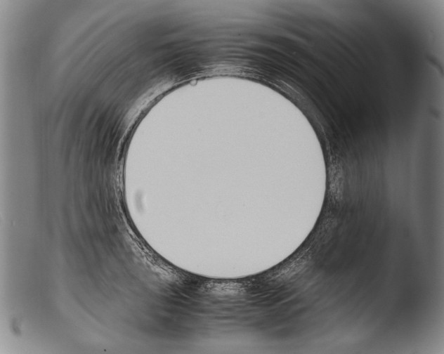 X0000103941043200810311521