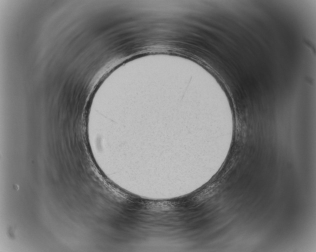 X0000103941045200810311521