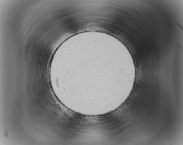 X0000103941046200810311521