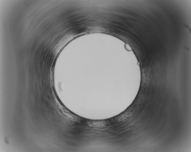 X0000103941047200810311521