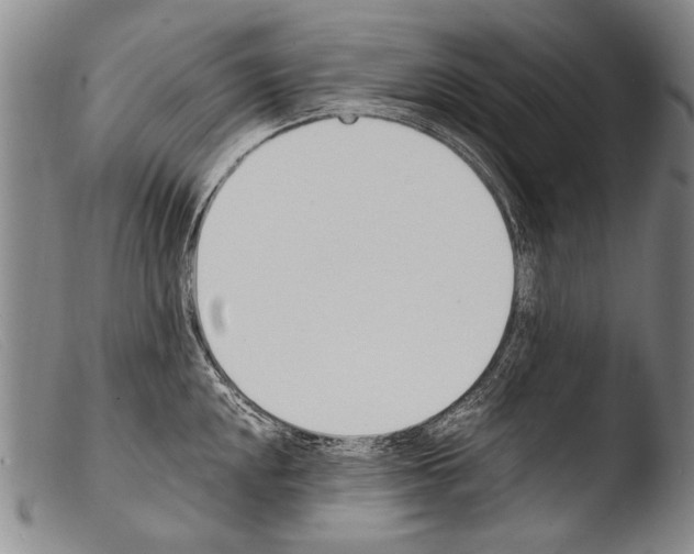 X0000103941048200810311521