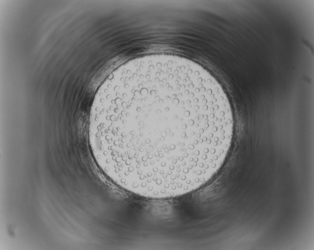 X0000103941049200810311521