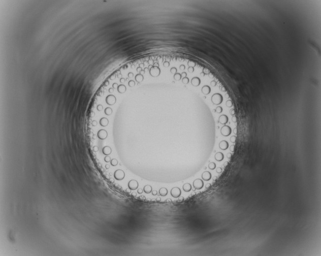 X0000103941050200810311521