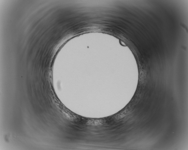 X0000103941051200810311521