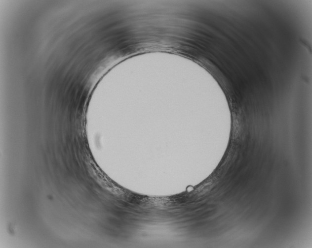 X0000103941052200810311521