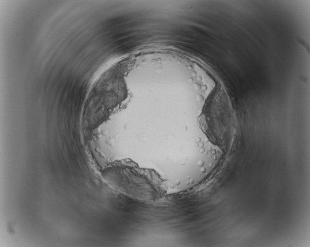 X0000103941053200810311521