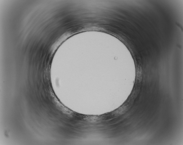 X0000103941054200810311521