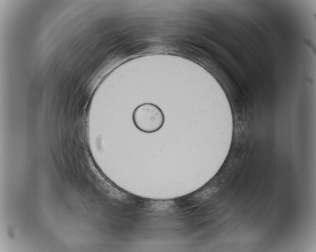 X0000103941055200810311521