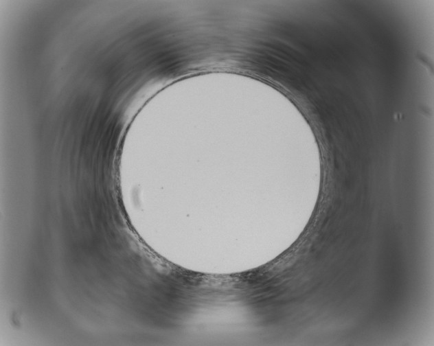 X0000103941056200810311521