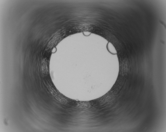 X0000103941058200810311520